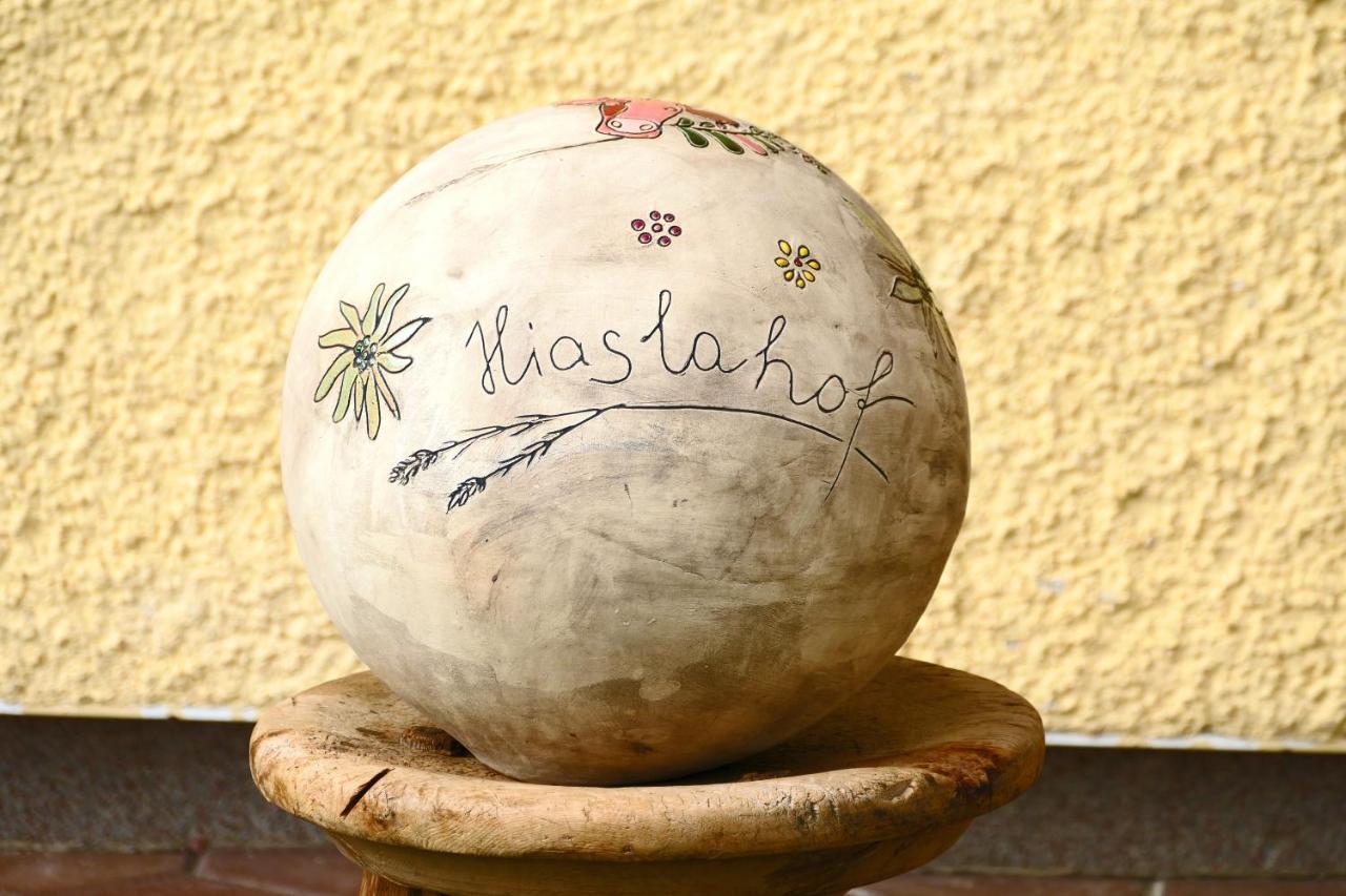 شقة Hiaslahof ماريابفار المظهر الخارجي الصورة